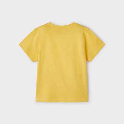 072336-2